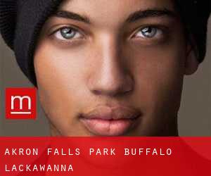 Akron Falls Park Buffalo (Lackawanna)