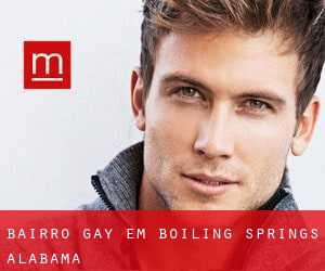 Bairro Gay em Boiling Springs (Alabama)