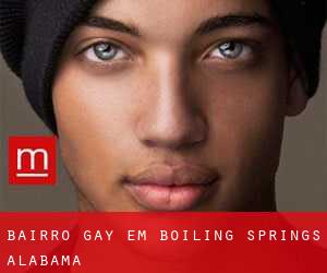 Bairro Gay em Boiling Springs (Alabama)