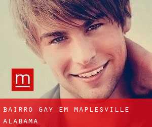 Bairro Gay em Maplesville (Alabama)