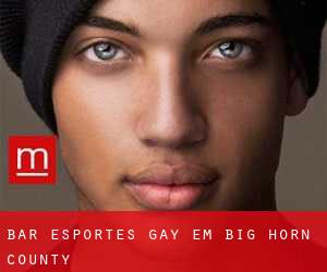 Bar Esportes Gay em Big Horn County