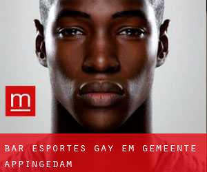 Bar Esportes Gay em Gemeente Appingedam