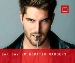 Bar Gay em Horatio Gardens