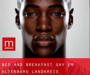 Bed and Breakfast Gay em Altenburg Landkreis