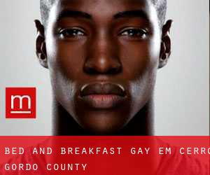 Bed and Breakfast Gay em Cerro Gordo County