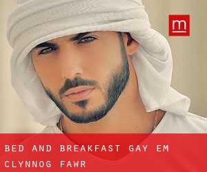 Bed and Breakfast Gay em Clynnog-fawr