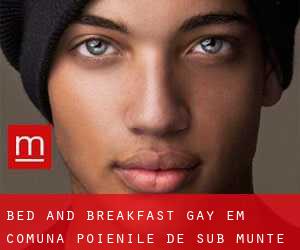 Bed and Breakfast Gay em Comuna Poienile de sub Munte