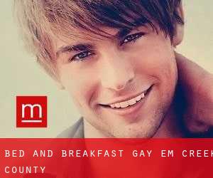 Bed and Breakfast Gay em Creek County