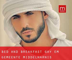 Bed and Breakfast Gay em Gemeente Middelharnis