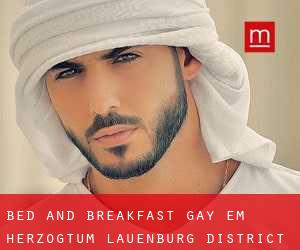 Bed and Breakfast Gay em Herzogtum Lauenburg District