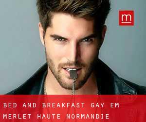 Bed and Breakfast Gay em Merlet (Haute-Normandie)