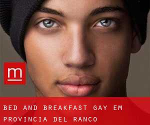 Bed and Breakfast Gay em Provincia del Ranco