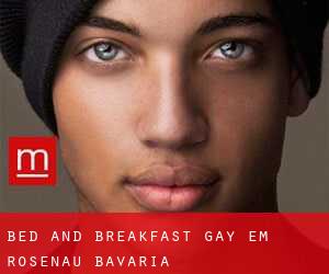 Bed and Breakfast Gay em Rosenau (Bavaria)