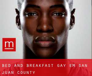 Bed and Breakfast Gay em San Juan County