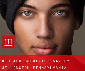 Bed and Breakfast Gay em Wellington (Pennsylvania)
