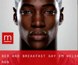 Bed and Breakfast Gay em Welsh Run