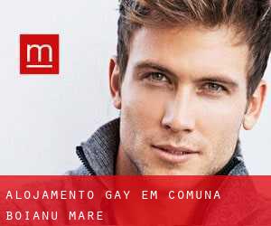 Alojamento Gay em Comuna Boianu Mare