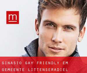 Ginásio Gay Friendly em Gemeente Littenseradiel