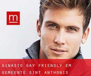 Ginásio Gay Friendly em Gemeente Sint Anthonis