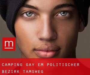 Camping Gay em Politischer Bezirk Tamsweg