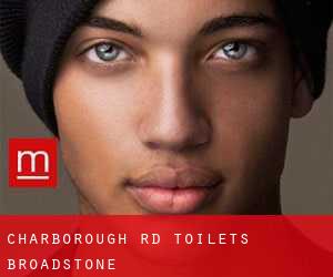 Charborough Rd Toilets, Broadstone