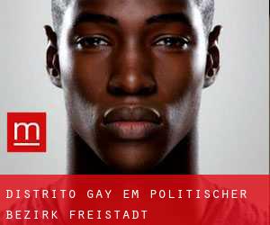 Distrito Gay em Politischer Bezirk Freistadt