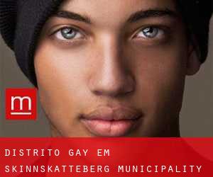 Distrito Gay em Skinnskatteberg Municipality