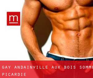 gay Andainville-aux-Bois (Somme, Picardie)