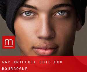 gay Antheuil (Cote d'Or, Bourgogne)