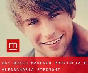 gay Bosco Marengo (Provincia di Alessandria, Piedmont)