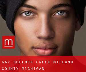 gay Bullock Creek (Midland County, Michigan)