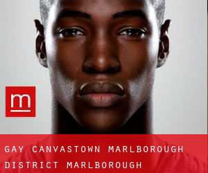 gay Canvastown (Marlborough District, Marlborough)