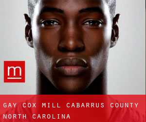 gay Cox Mill (Cabarrus County, North Carolina)