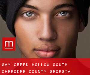 gay Creek Hollow South (Cherokee County, Georgia)