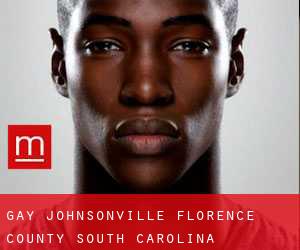 gay Johnsonville (Florence County, South Carolina)