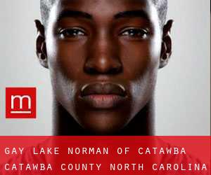 gay Lake Norman of Catawba (Catawba County, North Carolina)