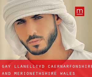 gay Llanelltyd (Caernarfonshire and Merionethshire, Wales)