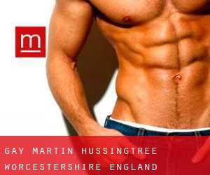 gay Martin Hussingtree (Worcestershire, England)