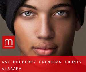 gay Mulberry (Crenshaw County, Alabama)