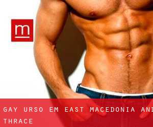 Gay Urso em East Macedonia and Thrace