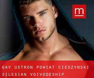 gay Ustroń (Powiat cieszyński, Silesian Voivodeship)