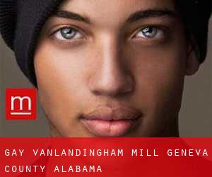 gay Vanlandingham Mill (Geneva County, Alabama)