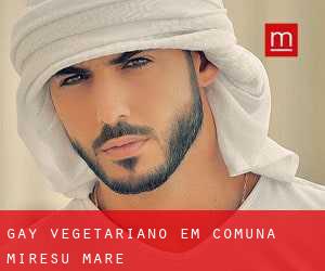 Gay Vegetariano em Comuna Mireşu Mare
