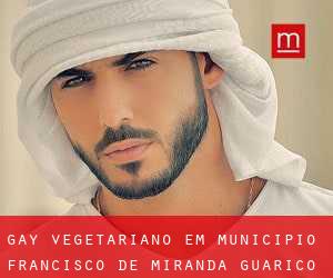 Gay Vegetariano em Municipio Francisco de Miranda (Guárico)