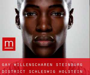 gay Willenscharen (Steinburg District, Schleswig-Holstein)