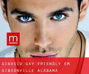 Ginásio Gay Friendly em Gibsonville (Alabama)