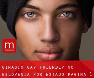 Ginásio Gay Friendly no Eslovénia por Estado - página 1