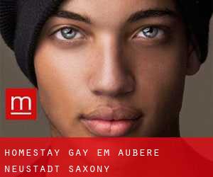 Homestay Gay em Äußere Neustadt (Saxony)