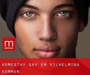 Homestay Gay em Vilhelmina Kommun