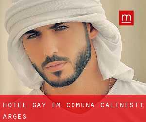 Hotel Gay em Comuna Călineşti (Argeş)